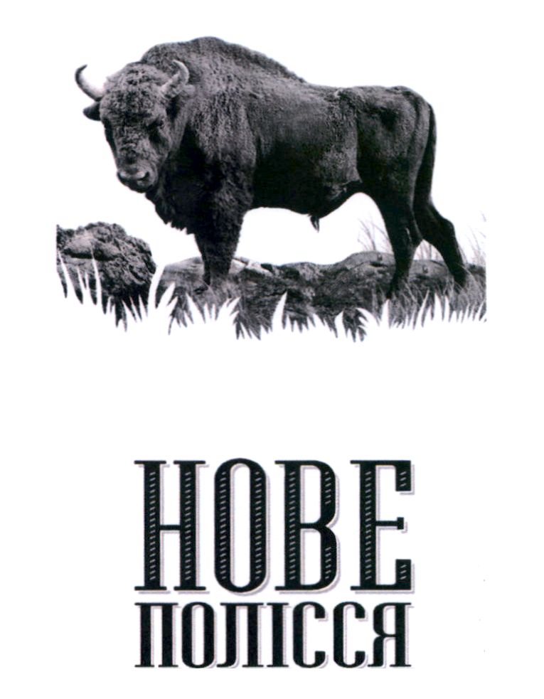 нове полісся
