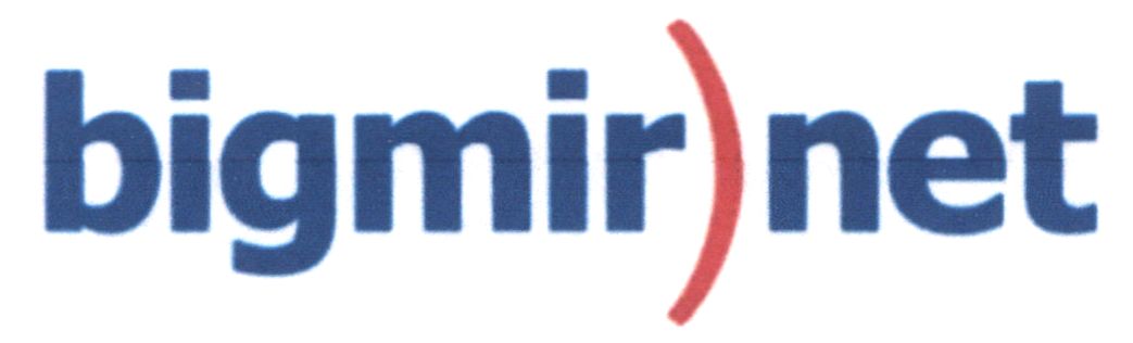 bigmir net