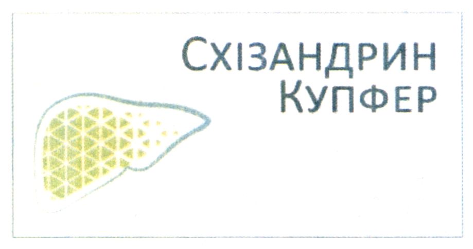 схізандрин купфер