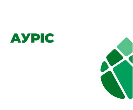 ауріс