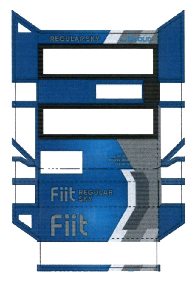 fiit regular sky