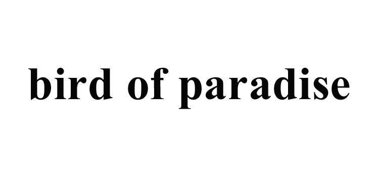 bird of paradise