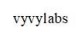 vyvylabs
