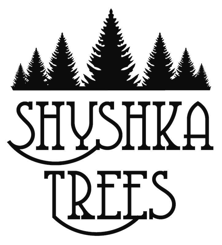 shyshka trees