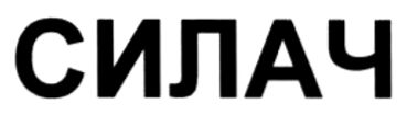 силач