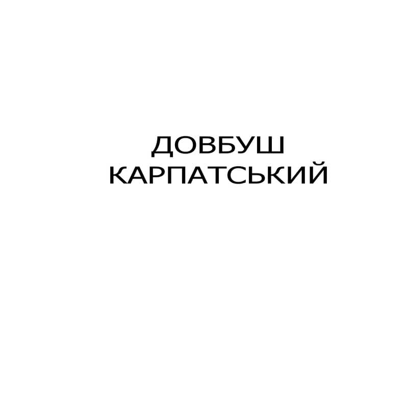 довбуш карпатський