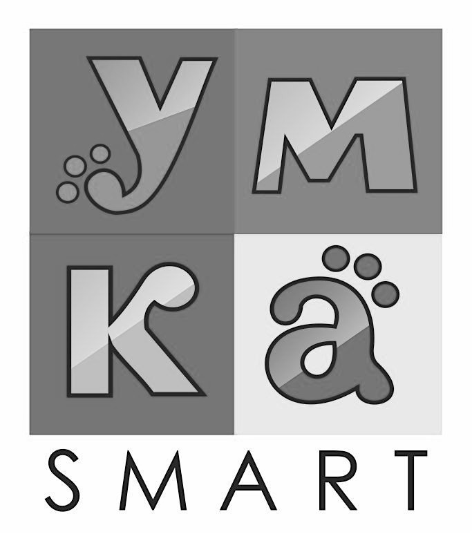 ymka smart
