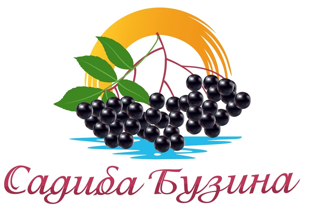 садиба бузина