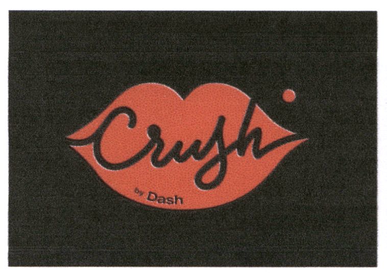 crash by dash