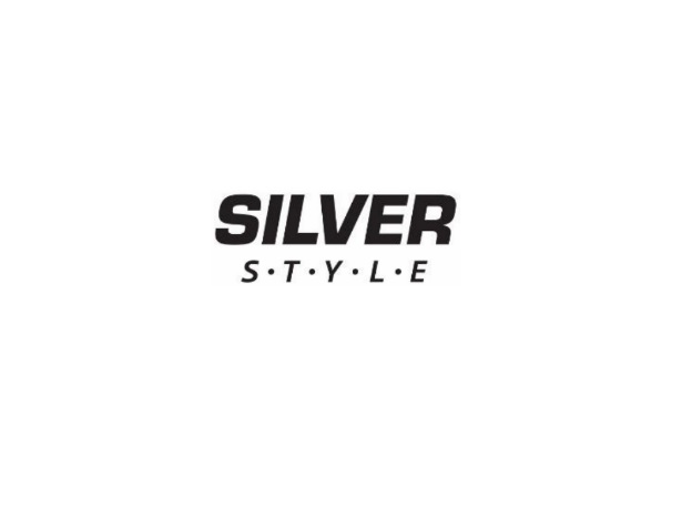 silver style