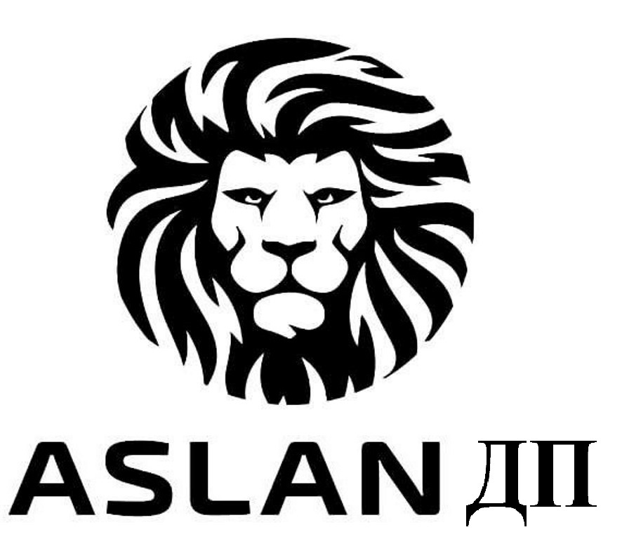 aslan дп