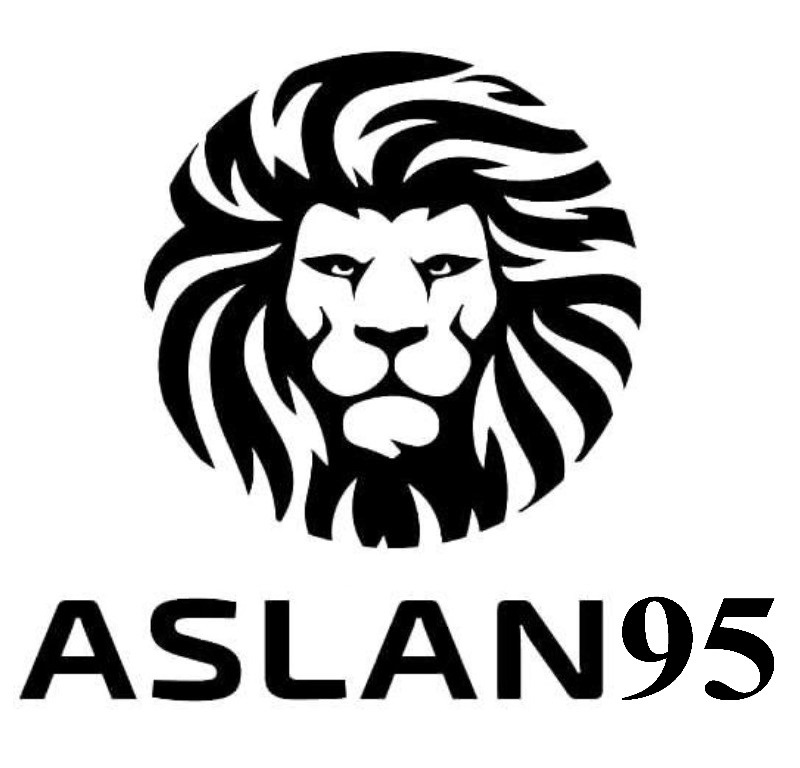 aslan 95