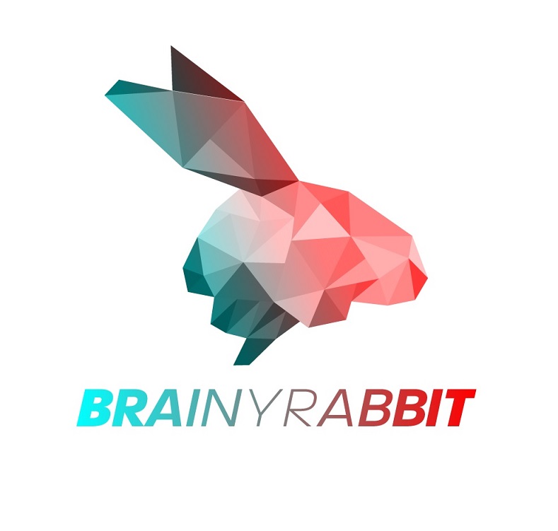 brainy rabbit