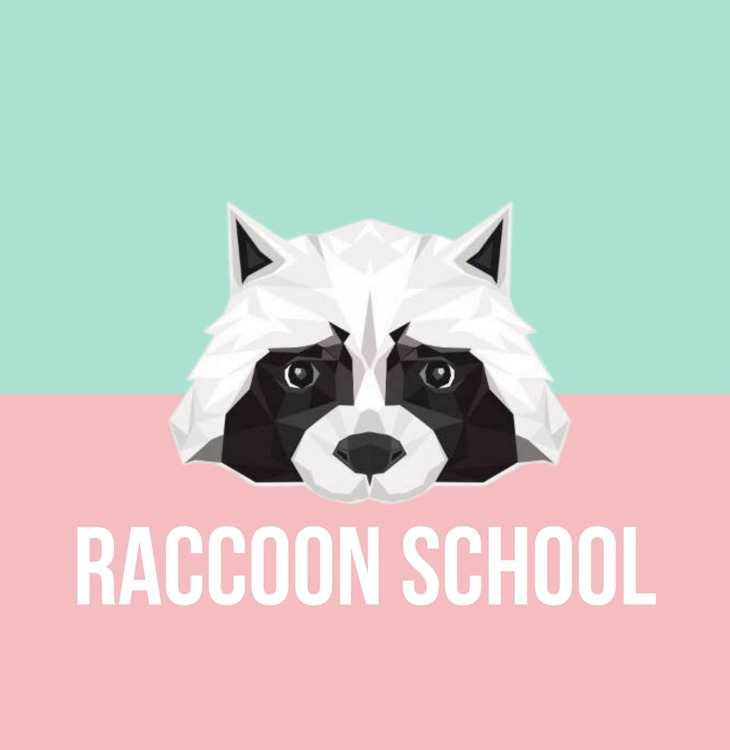raccoon school
