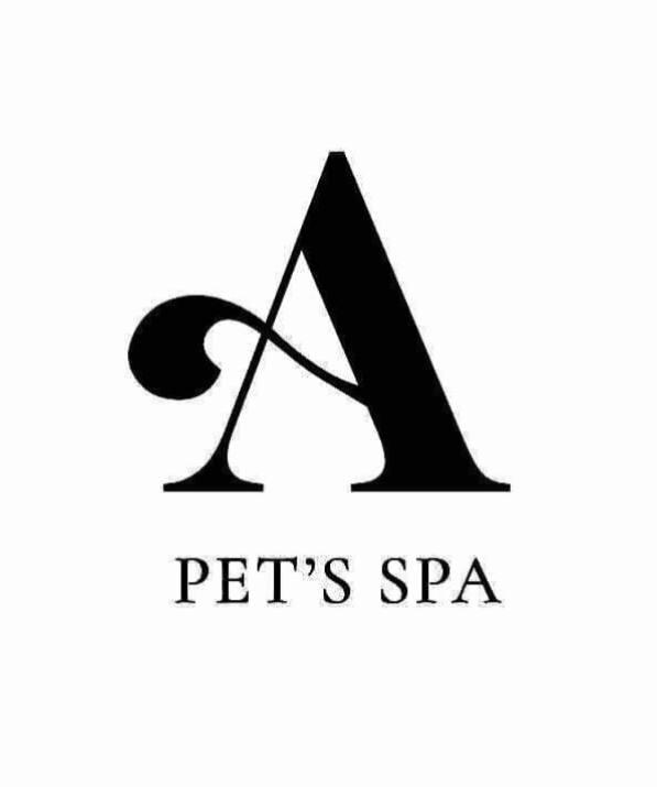 a pet's spa