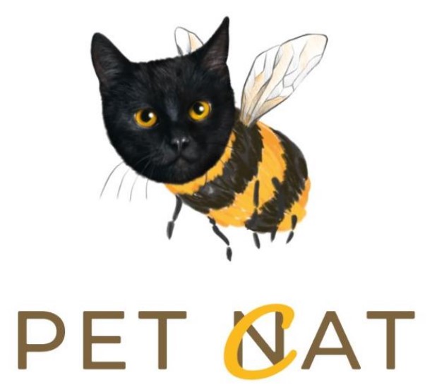 pet cat