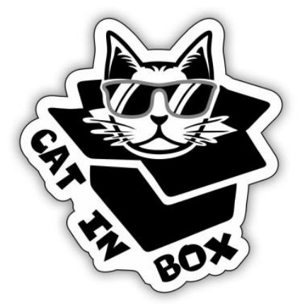 cat in box