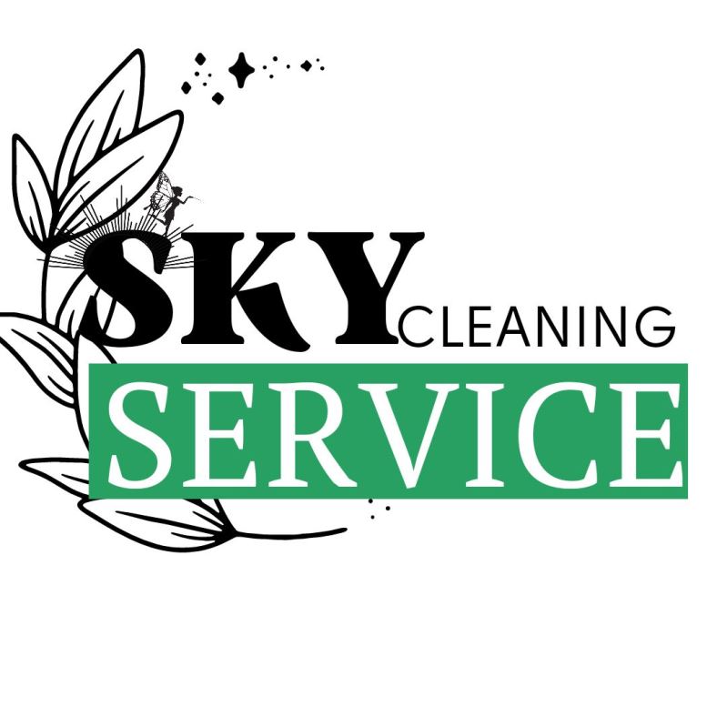 sky cleaning service