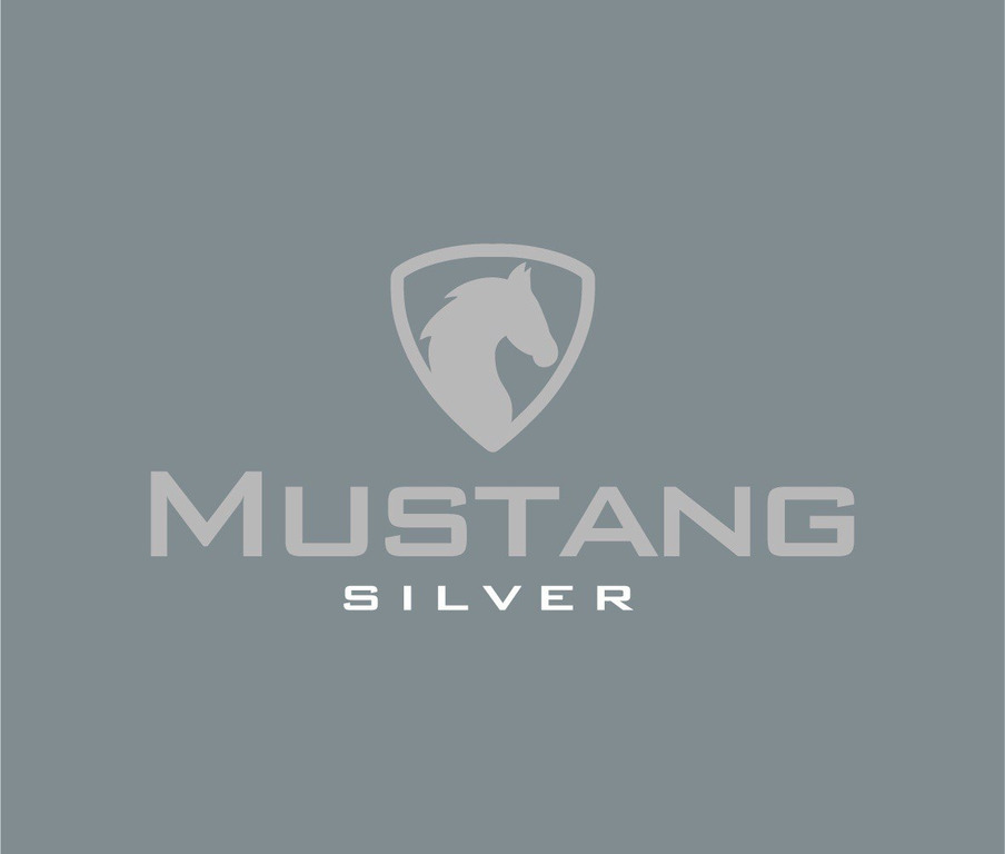 mustang silver