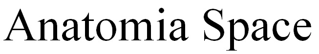anatomia space