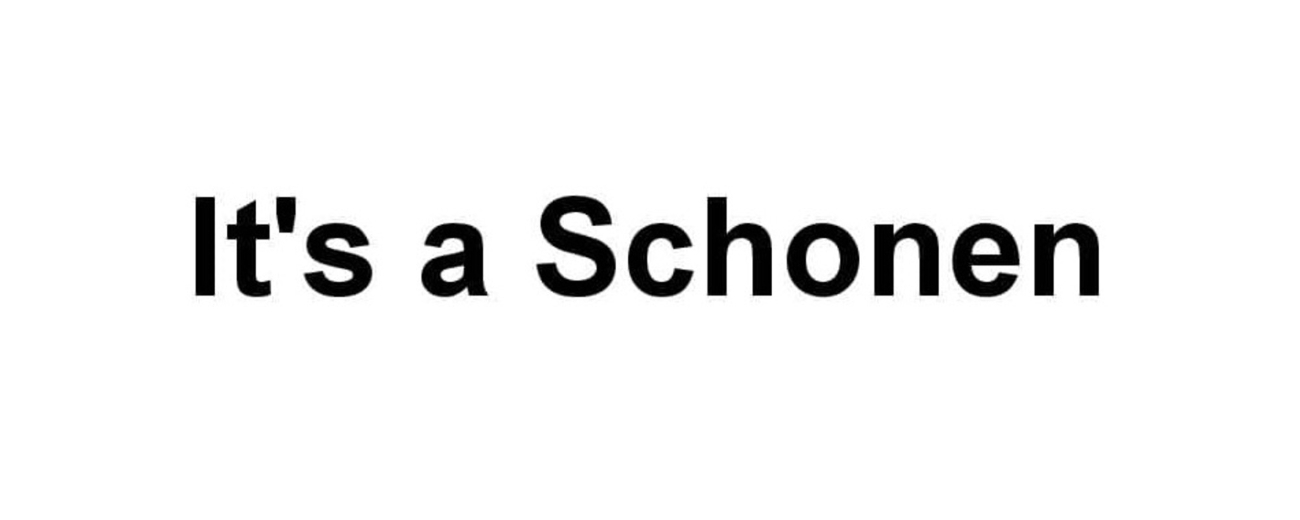 it's a schonen