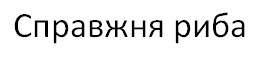 справжня риба