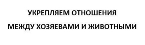 укрепляем отношения между хозяевами и животными