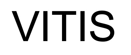 vitis