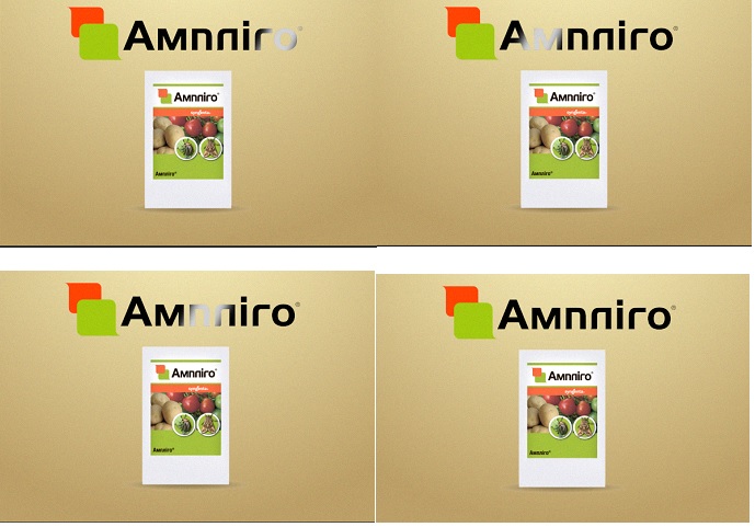 ампліго