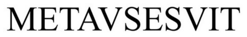metavsesvit