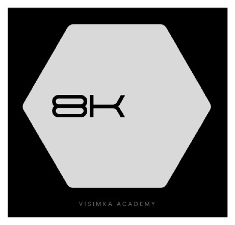 visimka academy