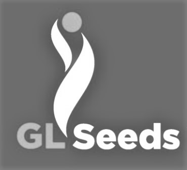 gl seeds