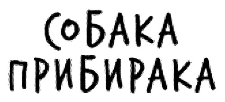 собака прибирака