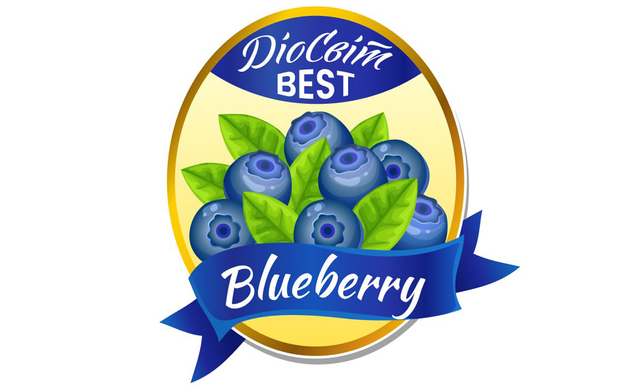 best blueberry