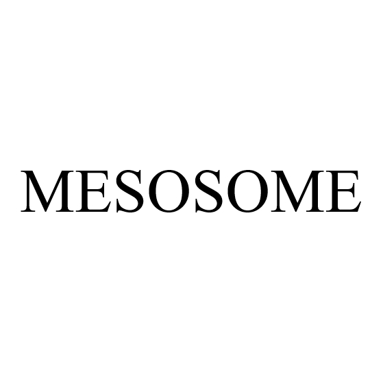 mesosome