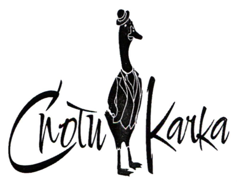 споти качка
