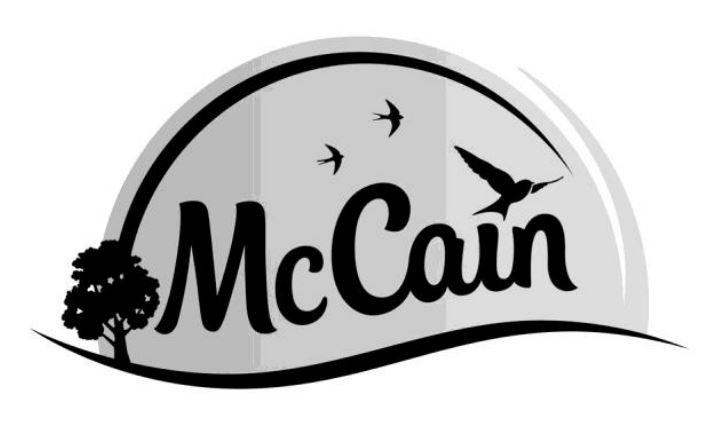 mc cain