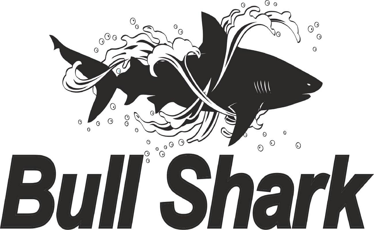 bull shark