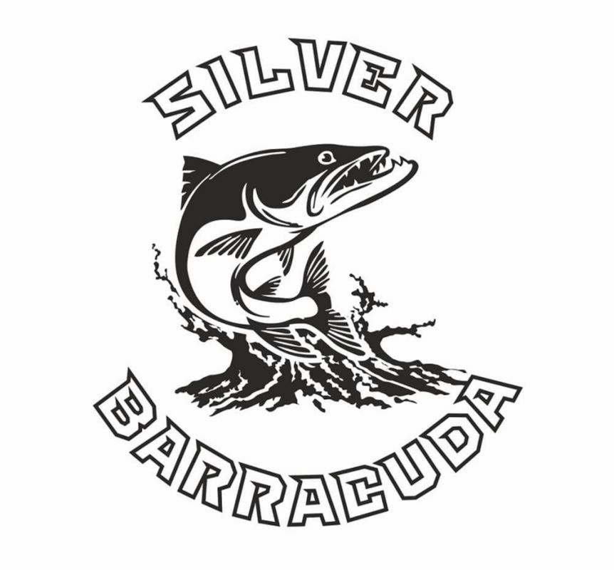 silver barracuda