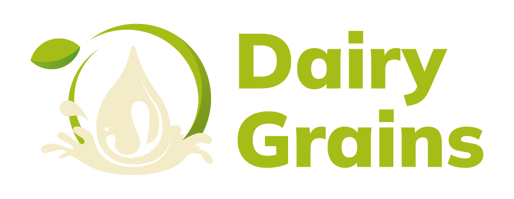 dairy grains