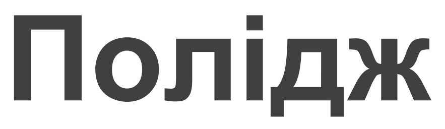 полідж