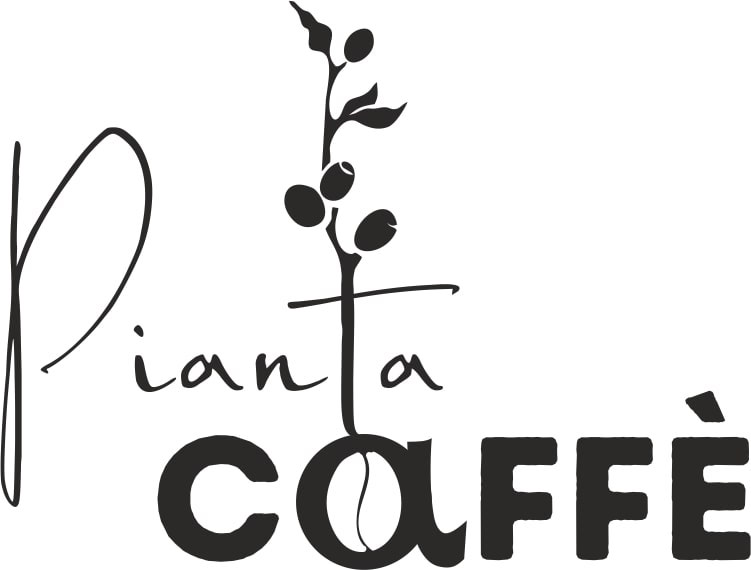 pianta caffe