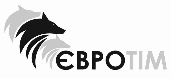 євро тім