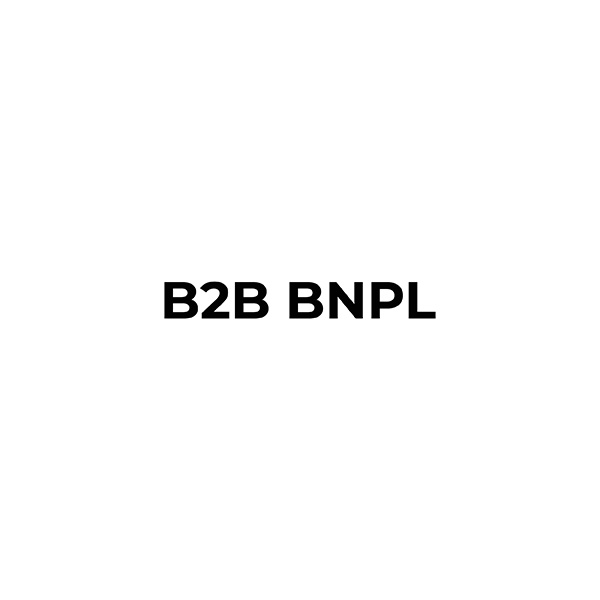 b2b bnpl