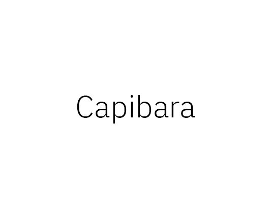 capibara
