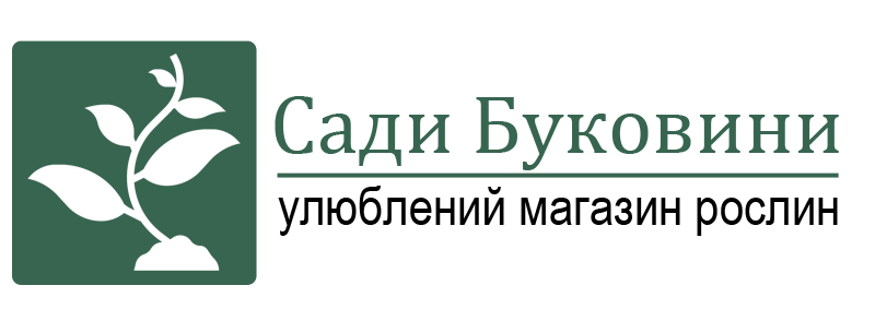 улюблений магазин рослин