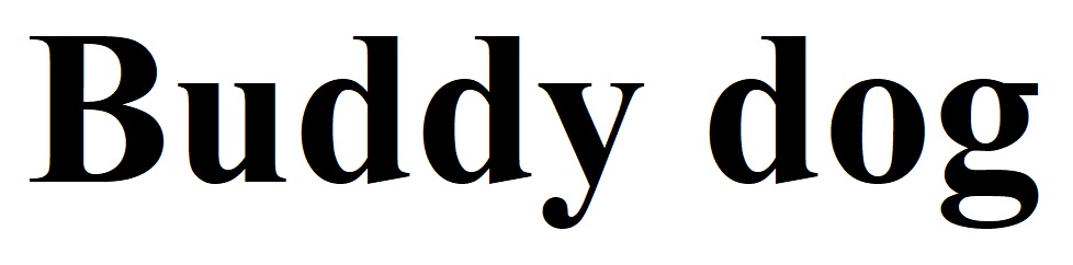 buddy dog