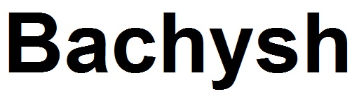bachysh