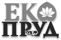 еко пруд
