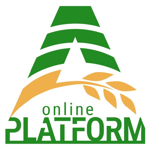 online platform